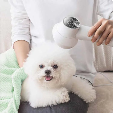 GroomDryer - Smart Pet Hair Dryer